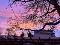 Rheinzabern am Abend / Sonnenuntergang Terrasse